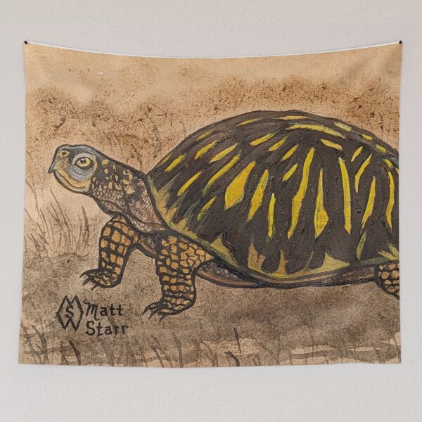 Item preview, Ornate box turtle study  designed and sold by Matt Starr Fine Art .