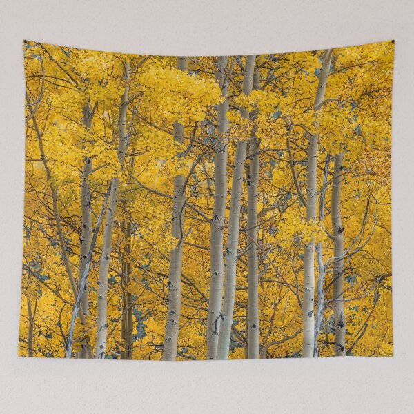 Item preview, Golden Aspens Up Close designed and sold by ConnorQuagliana.