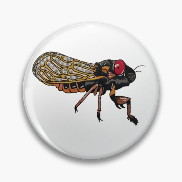 Item preview, Cicada designed and sold by KenziesHobbies.