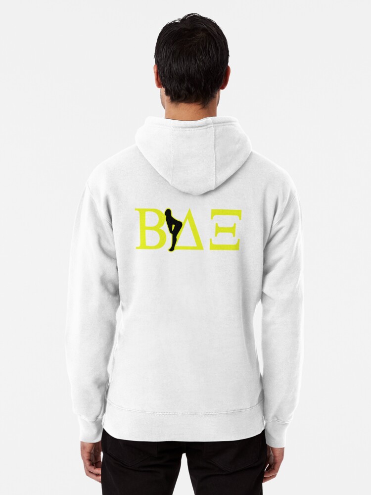Beta House BAE Movie Fraternity Party Pullover Hoodie for Sale