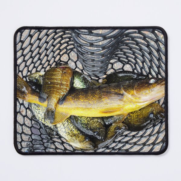 Item preview, Fish On!! designed and sold by Pembroke Photo.