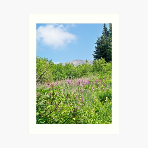 Chugach State Park Art Print