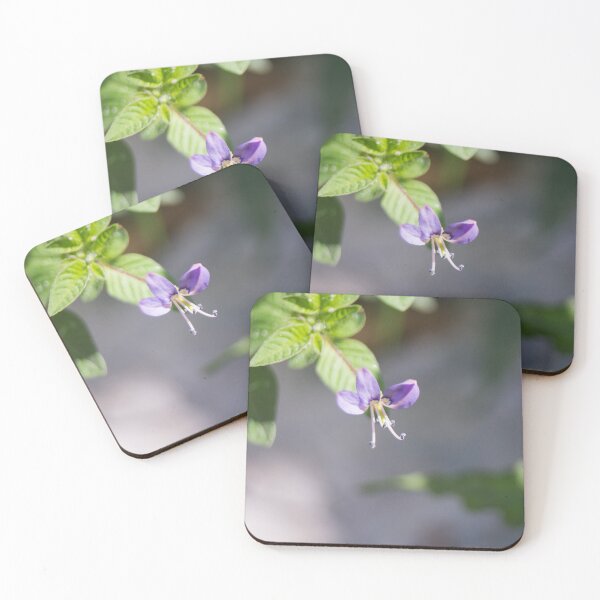 Item preview, Fringed Spider Flower designed and sold by ROSE ANN BANILAR.