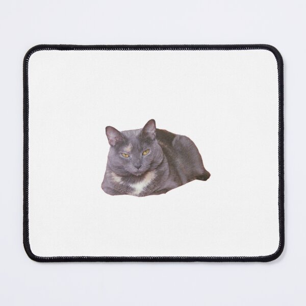 Item preview, Grey Tortie Cat Meme designed and sold by lemy-designs.
