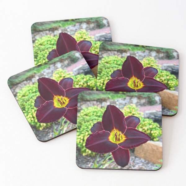 Item preview, Black Ambrosia Daylily with Golden Center designed and sold by Be Captured by Brittany Emma.