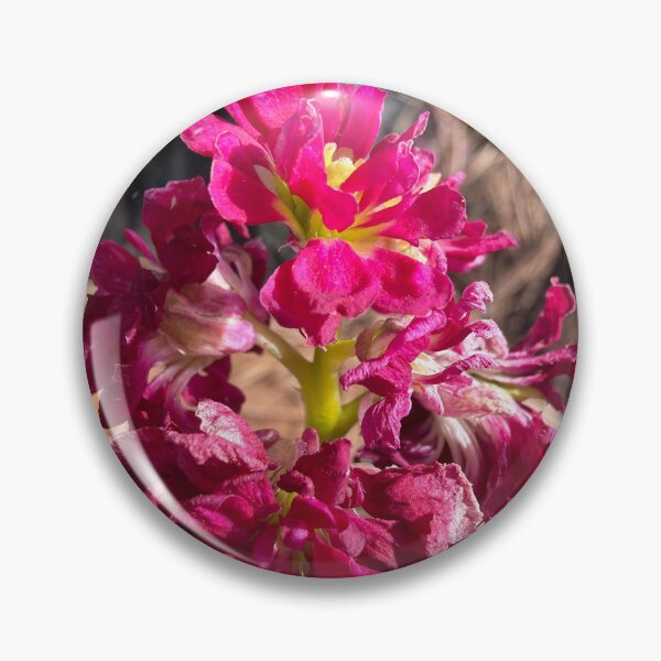 Item preview, Blooming Through Winter designed and sold by Betsy Phillips.