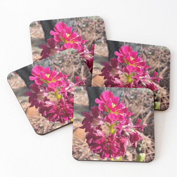 Item preview, Blooming Through Winter designed and sold by Betsy Phillips.