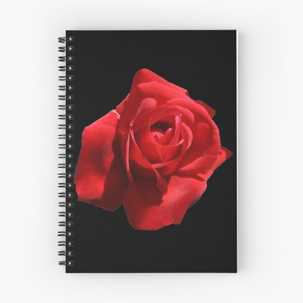 Item preview, The Perfect Red Rose Photograph Cut Out designed and sold by taiche.