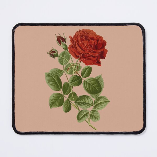 Item preview, A Single Red Rose Botanical Vector designed and sold by taiche.