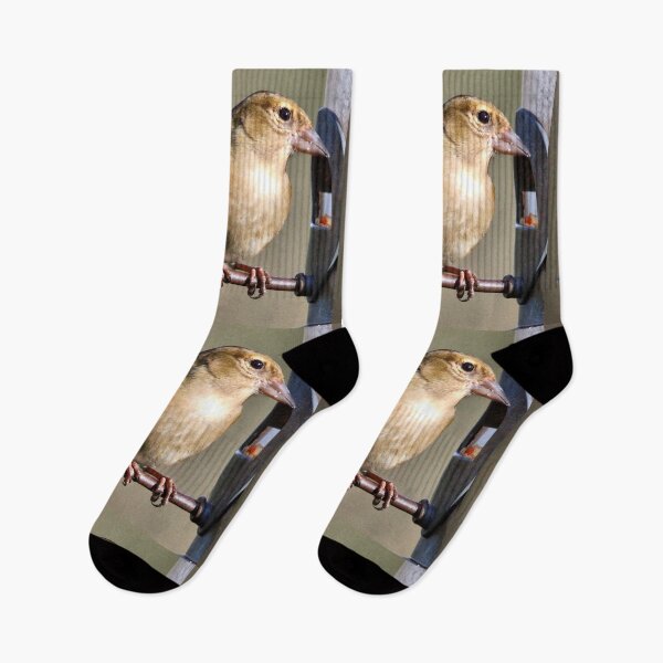 Item preview, chaffinch designed and sold by KathleenDawson.