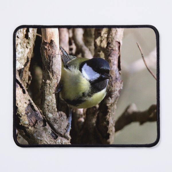 Item preview, great tit designed and sold by KathleenDawson.