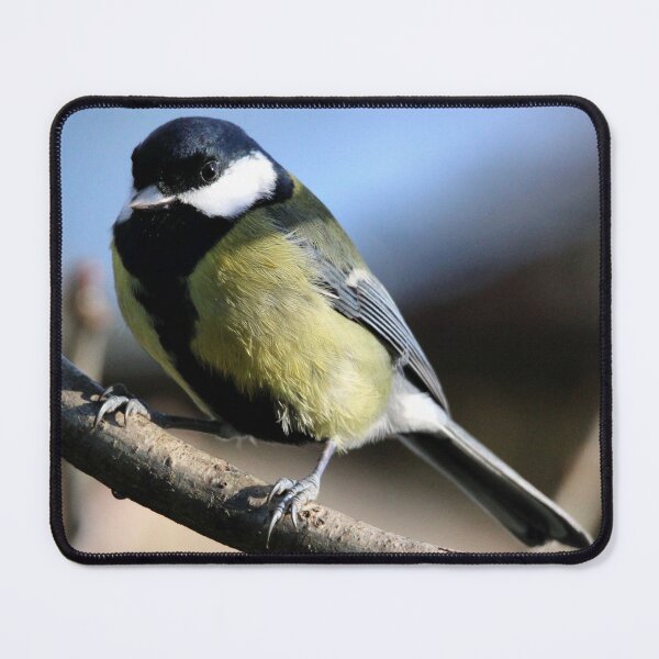 Item preview, great tit designed and sold by KathleenDawson.