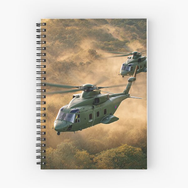 Item preview, Merlin Rising designed and sold by Skyframe Aviation.