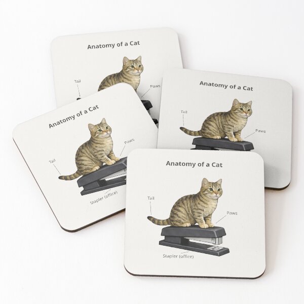 Item preview, Cat Anatomy Diagram Illustration designed and sold by Ombrya.