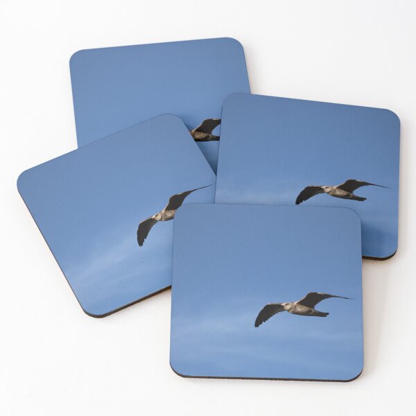 Item preview, Juvenile Gull in Flight Over Blue Sky – Minimal Coastal Wall Art designed and sold by Open Road Gallery .