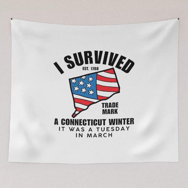 Item preview, I survived a Connecticut winter designed and sold by Peerless-Prime.