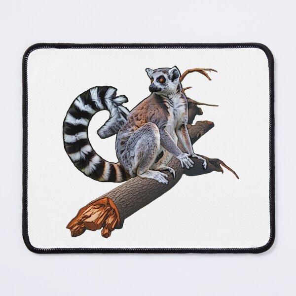 Item preview, Ring-tailed lemurs, primates, limes, artistic designs, extraordinary animal outfits designed and sold by Kirei-Lily.