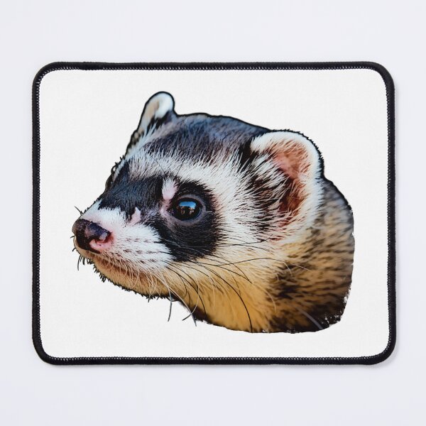 Item preview, marten head, painting optics designed and sold by Kirei-Lily.