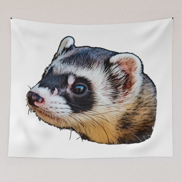 Item preview, marten head, painting optics designed and sold by Kirei-Lily.