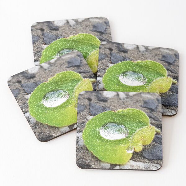 Item preview, Water droplet on leaf designed and sold by DanLeutton.