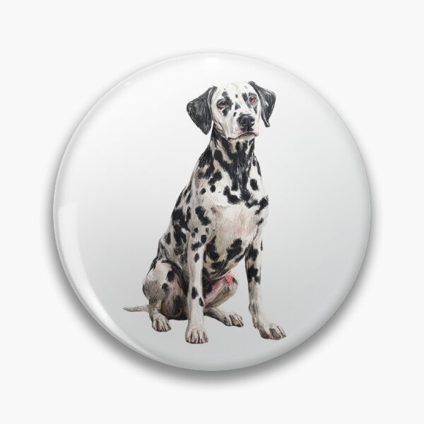 Item preview, Sitting Dalmatian Dog Illustration designed and sold by LawleyKingdom.