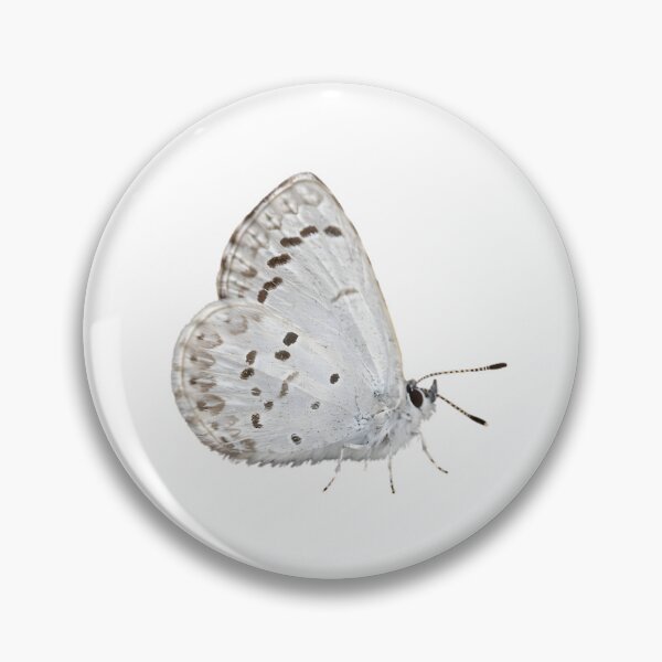 Item preview, Spring Azure (Celastrina ladon) designed and sold by HOMETOWN86.