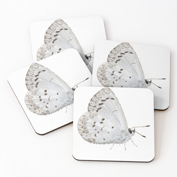 Item preview, Spring Azure (Celastrina ladon) designed and sold by HOMETOWN86.