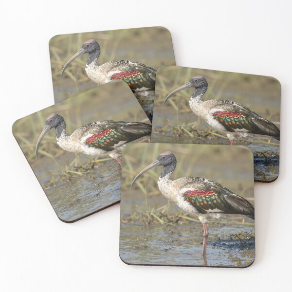 Item preview, wading bird designed and sold by LilithsDesires.