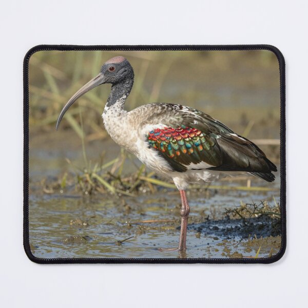 Item preview, wading bird designed and sold by LilithsDesires.