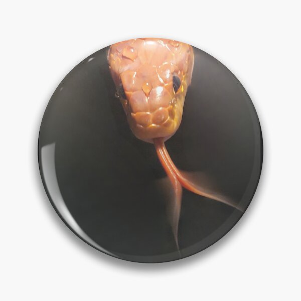 Item preview, Corn Snake Portrait Photo designed and sold by AnaPixMar.
