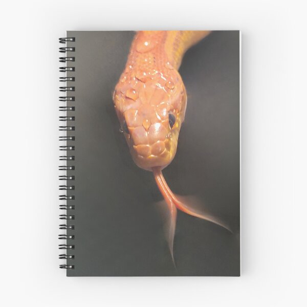 Item preview, Corn Snake Portrait Photo designed and sold by AnaPixMar.