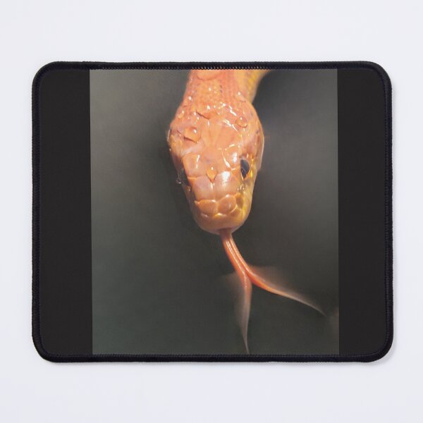 Item preview, Corn Snake Portrait Photo designed and sold by AnaPixMar.
