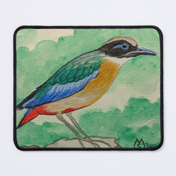 Item preview, Blue-winged pitta on the rocks designed and sold by Matt Starr Fine Art .