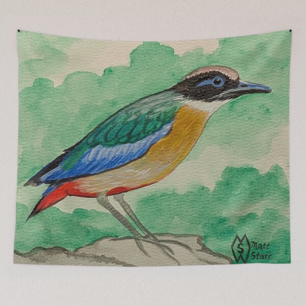 Item preview, Blue-winged pitta on the rocks designed and sold by Matt Starr Fine Art .