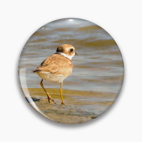 Item preview, Semipalmated Plover by the Water designed and sold by Debra Martz.