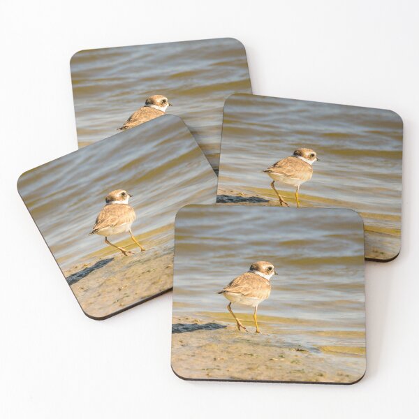 Item preview, Semipalmated Plover by the Water designed and sold by Debra Martz.