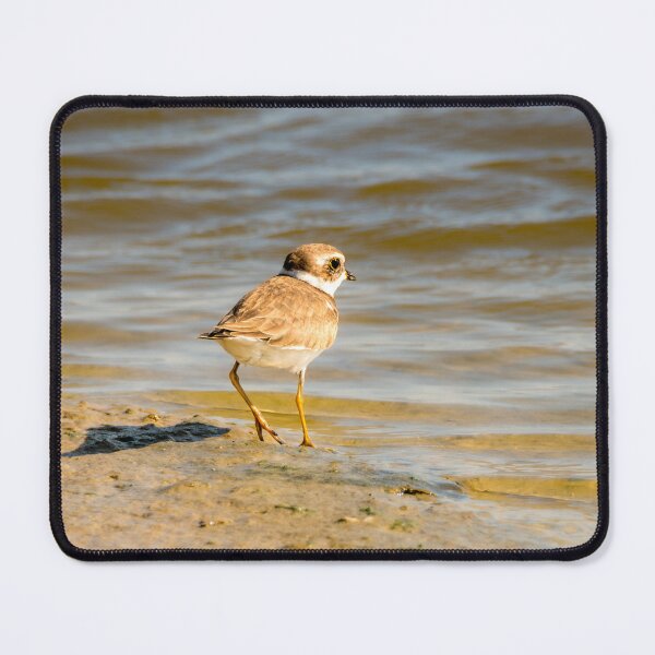 Item preview, Semipalmated Plover by the Water designed and sold by Debra Martz.