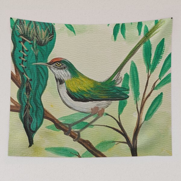 Item preview, Common tailorbird of the tropical forest  designed and sold by Matt Starr Fine Art .
