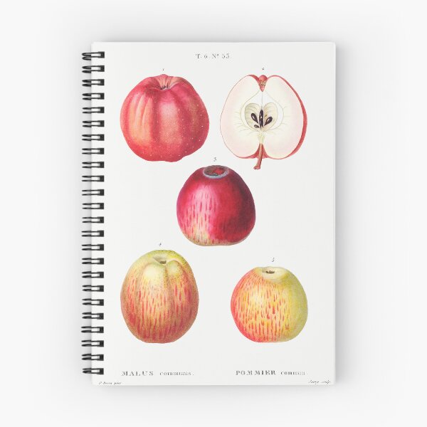 Item preview, Retro Kitchen - Apples designed and sold by Inspirationmotivation.