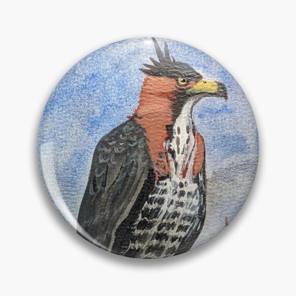 Item preview, Ornate hawk-eagle perched in the tree hunting for prey  designed and sold by Matt Starr Fine Art .
