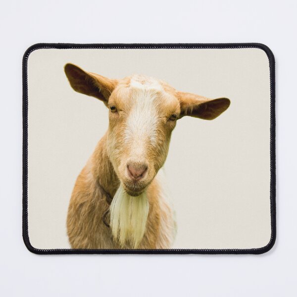 Item preview, Golden Guernsey Goat designed and sold by Jane Stanley Photography.