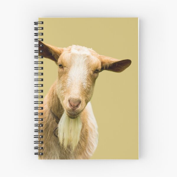 Item preview, Golden Guernsey Goat designed and sold by Jane Stanley Photography.