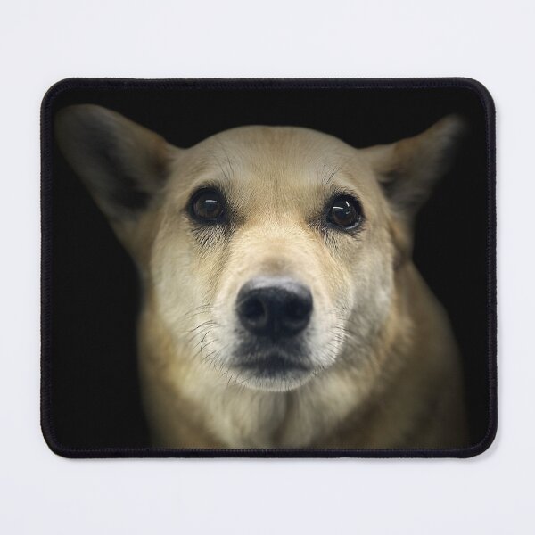 Item preview, Labrador-Husky Cross Portrait designed and sold by DeeplineArt.