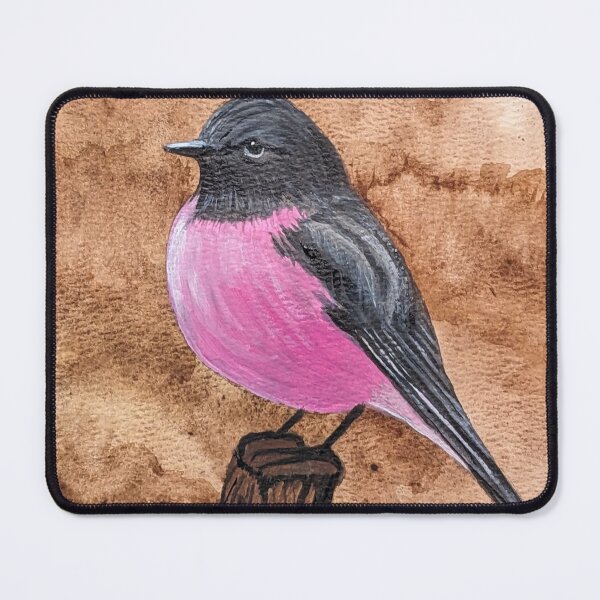 Item preview, Pink robin in the wet forest of Australia designed and sold by Matt Starr Fine Art .