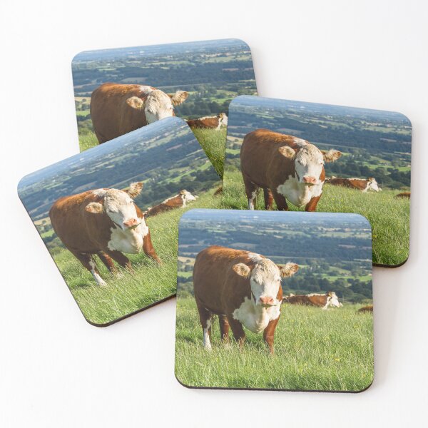 Item preview, Hereford Cows designed and sold by Jane Stanley Photography.