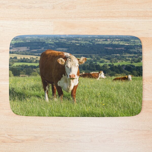 Item preview, Hereford Cows designed and sold by Jane Stanley Photography.