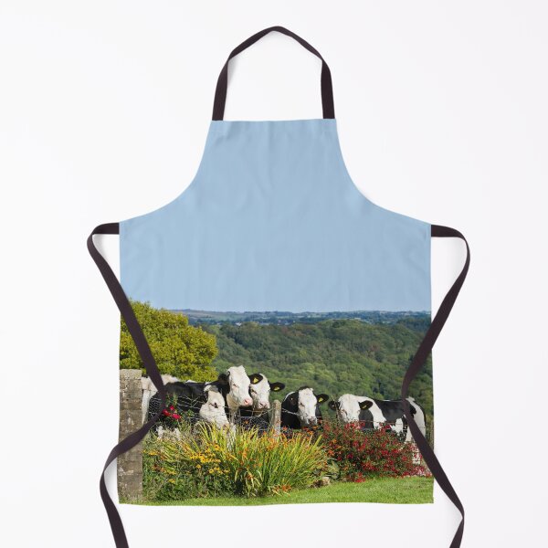 Item preview, Hereford Holstein Cross Cattle designed and sold by Jane Stanley Photography.