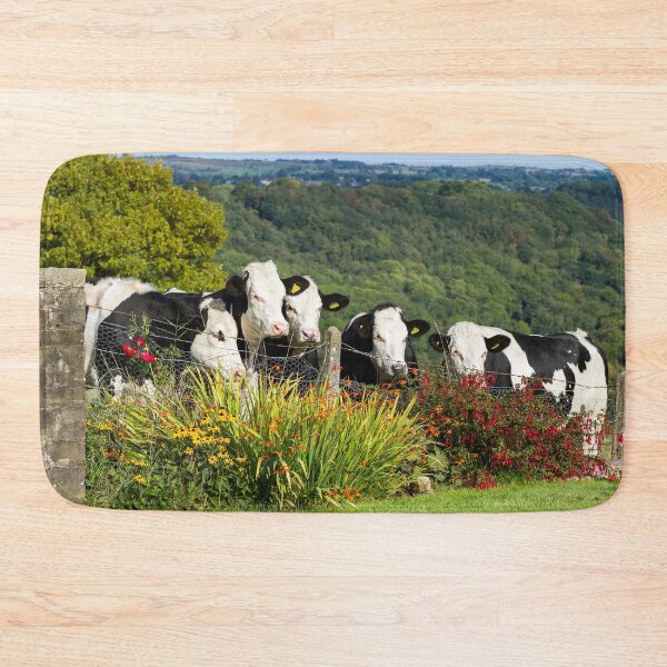 Item preview, Hereford Holstein Cross Cattle designed and sold by Jane Stanley Photography.