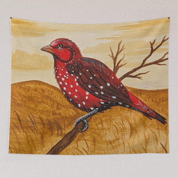 Item preview, Strawberry finch in the open meadow at sunrise designed and sold by Matt Starr Fine Art .