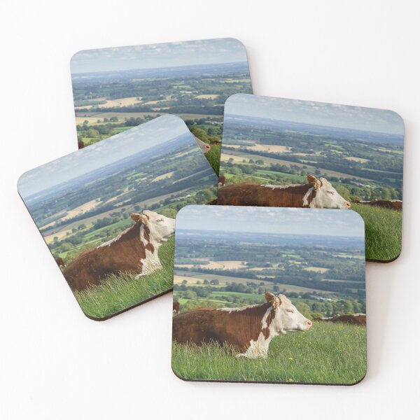 Item preview, Hereford Cows designed and sold by Jane Stanley Photography.